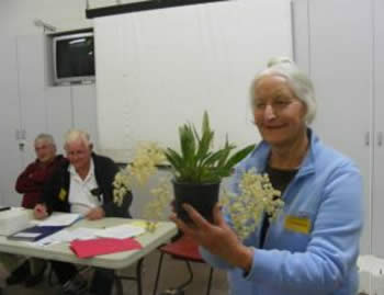 Barb Pearce with her Oncidium