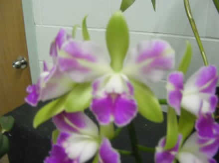 june-2011-01